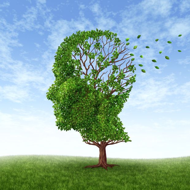 Conceptual illustration of memory and the mind